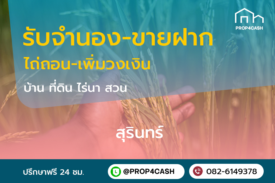 รับจำนองขายฝากบ้านที่ดินคอนโดในพื้นที่จังหวัดสุรินทร์และใกล้เคียง